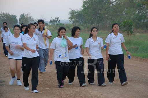 DSC_0445 Copy.JPG